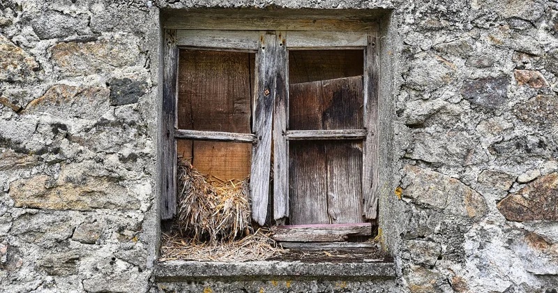 Avant de toucher au châssis : vérifier ce qui décide de tout